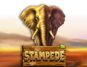 stampede-2